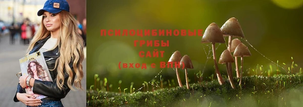 мескалин Майский