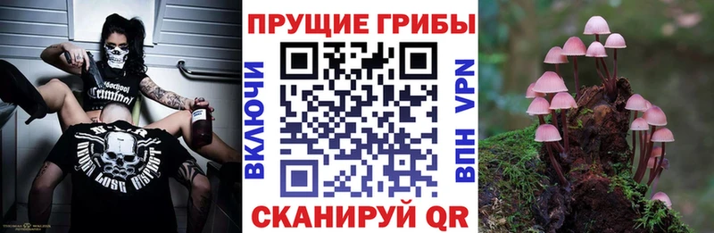 Галлюциногенные грибы ЛСД  купить наркоту  Чадан 